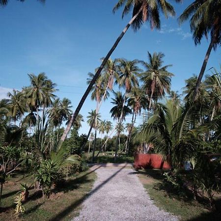 Coconut Tree Homestay Ban Wa Thon Exterior foto